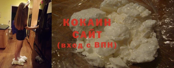 стаф Алзамай