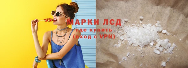 стаф Алзамай