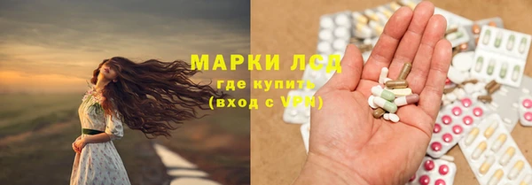 стаф Алзамай