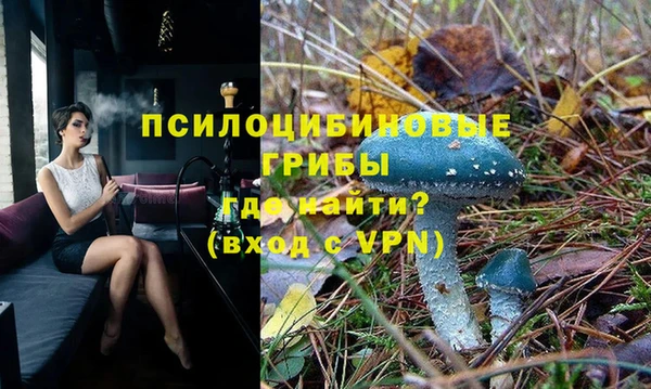 PSILOCYBIN Алексеевка