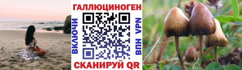 где можно купить наркотик  мориарти телеграм  Псилоцибиновые грибы Cubensis  Сарапул  МЕГА ссылки 